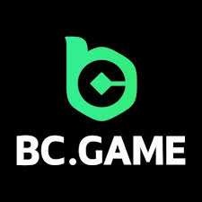 Understanding BC.Game General Terms and Conditions -801835620