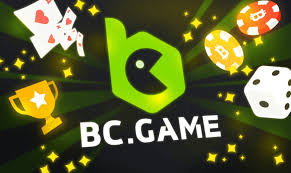 Understanding BC.Game General Terms and Conditions -801835620